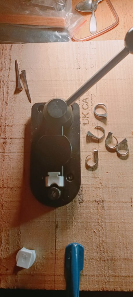 Ringmaker seen from above on a wooden block